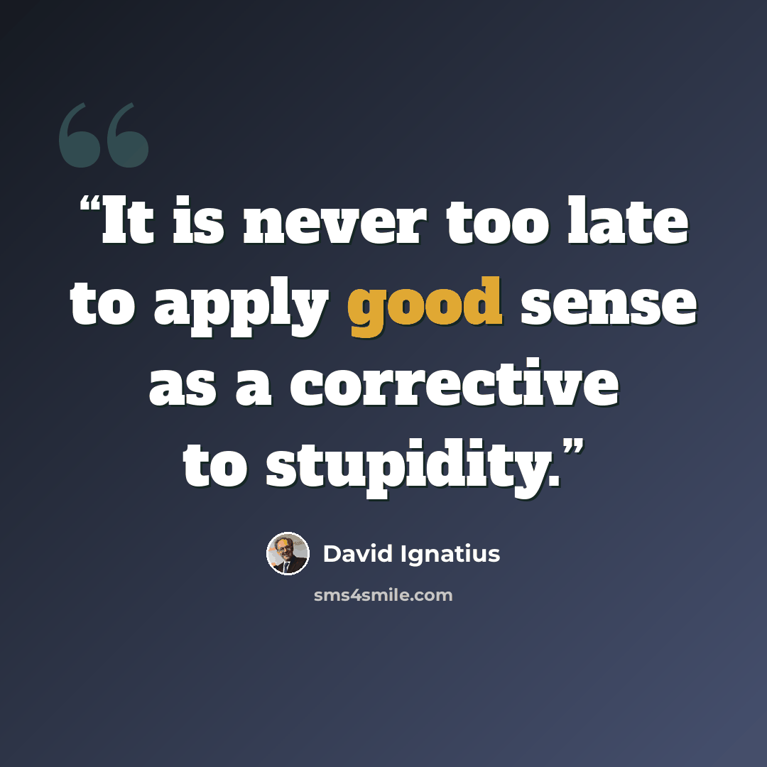 “It is never too late to apply good sense as a corrective to stupidity.” quote by David Ignatius