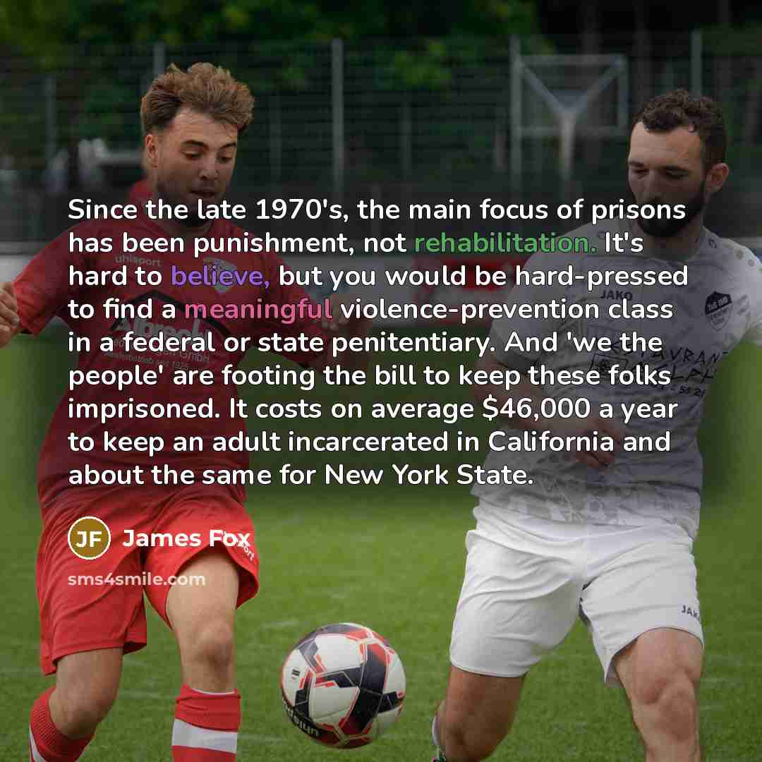 “Since the late 1970's, the main focus of prisons has been punishment, not rehabilitation. It's hard to believe, but you would be hard-pressed to find a meaningful violence-prevention class in a federal or state penitentiary. And 'we the people' are footing the bill to keep these folks imprisoned…” quote by James Fox