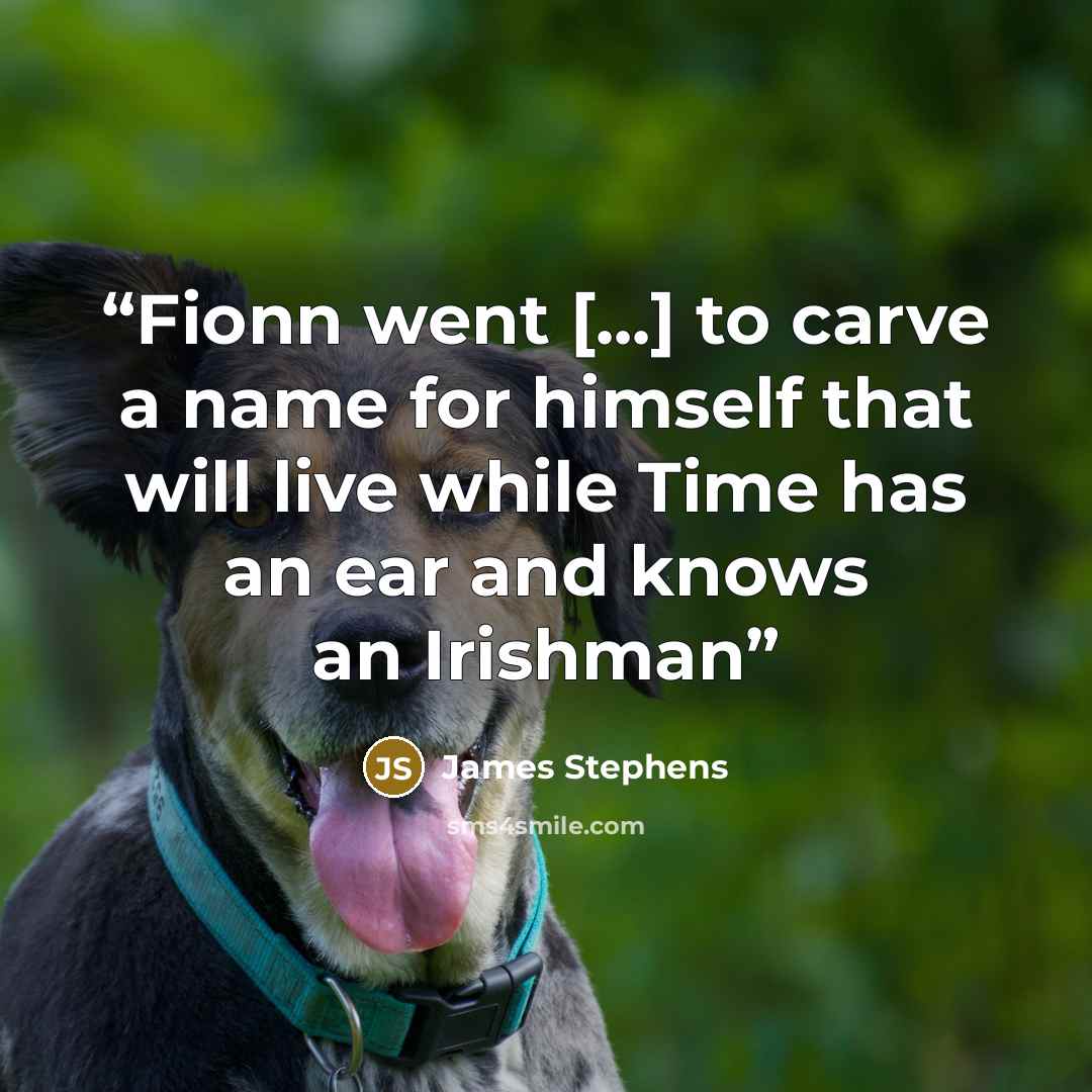 “Fionn went [...] to carve a name for himself that will live while Time has an ear and knows an Irishman” quote by James Stephens