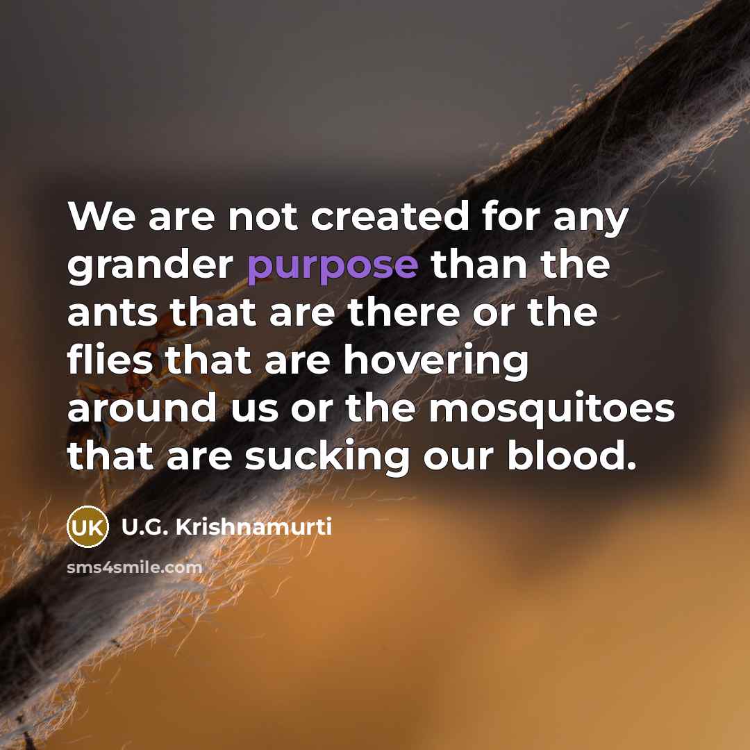 “We are not created for any grander purpose than the ants that are there or the flies that are hovering around us or the mosquitoes that are sucking our blood.” quote by U.G. Krishnamurti