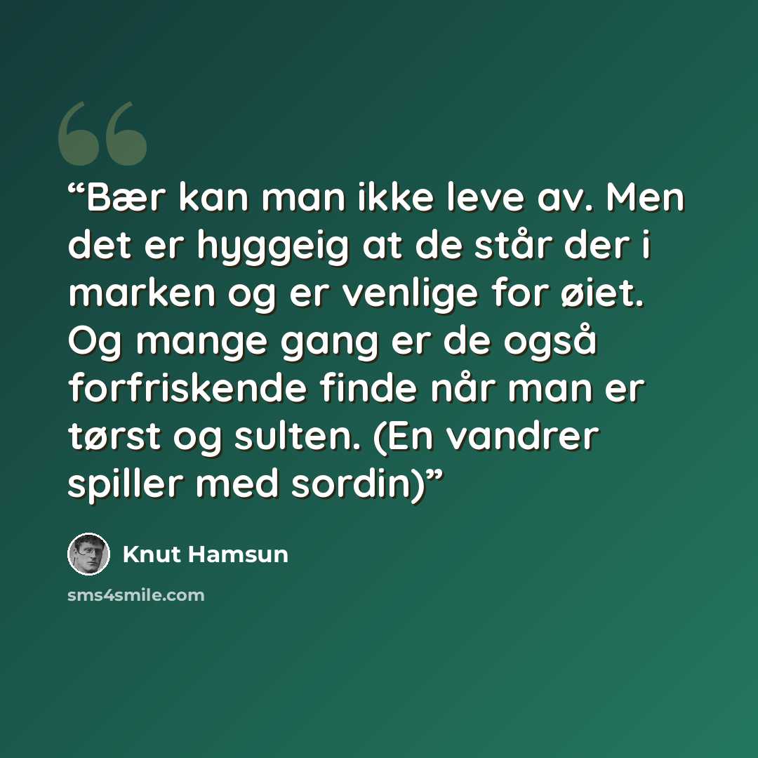 “Bær kan man ikke leve av. Men det er hyggeig at de står der i marken og er venlige for øiet. Og mange gang er de også forfriskende finde når man er tørst og sulten. (En vandrer spiller med sordin)” quote by Knut Hamsun