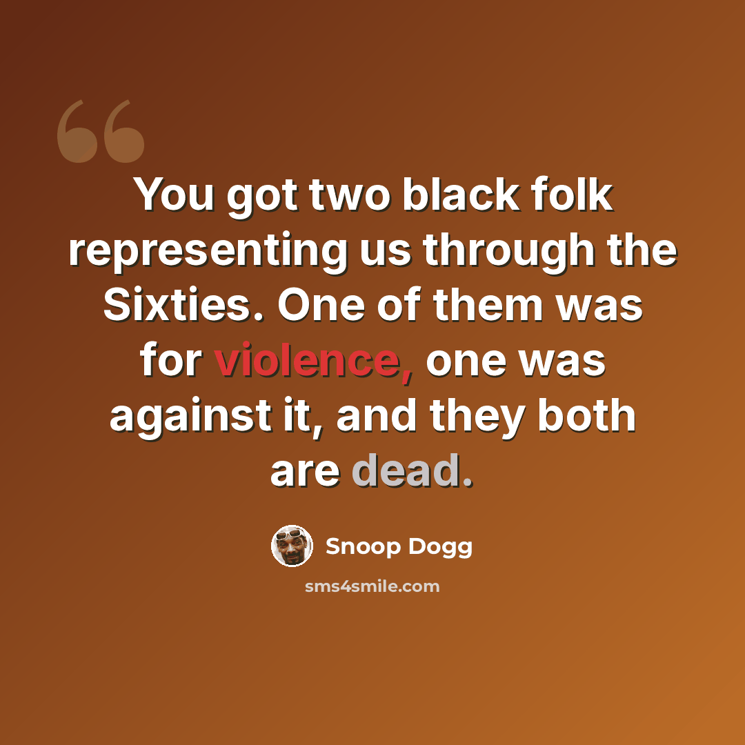 “You got two black folk representing us through the Sixties. One of them was for violence, one was against it, and they both are dead.” quote by Snoop Dogg