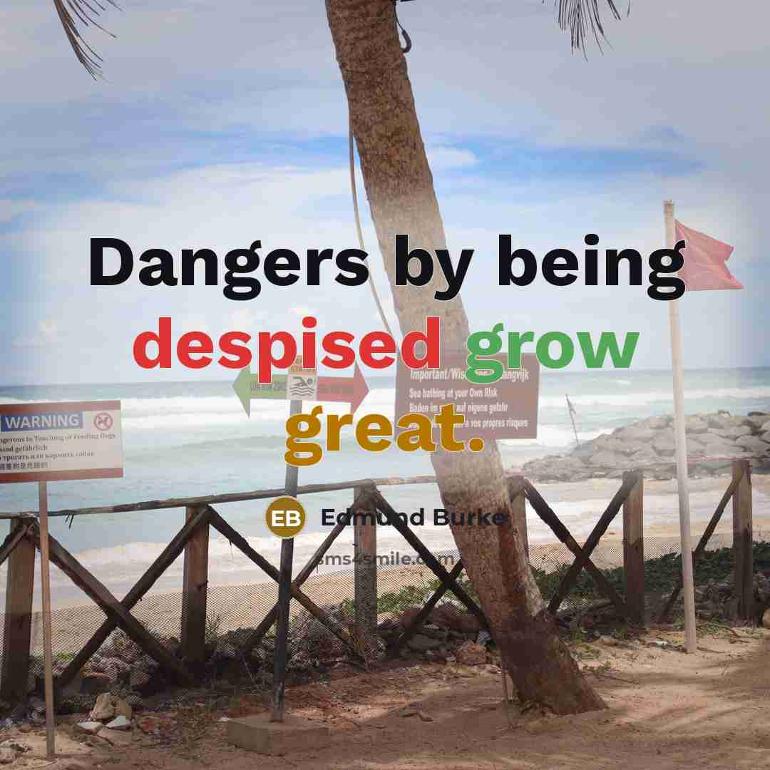 “Dangers by being despised grow great.” quote by Edmund Burke