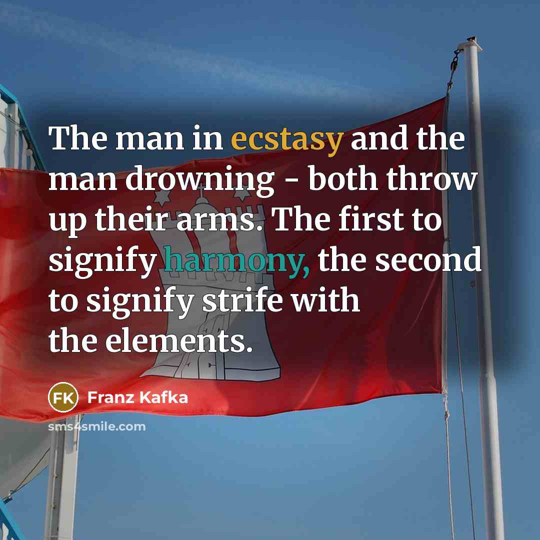 “The man in ecstasy and the man drowning - both throw up their arms. The first to signify harmony, the second to signify strife with the elements.” quote by Franz Kafka