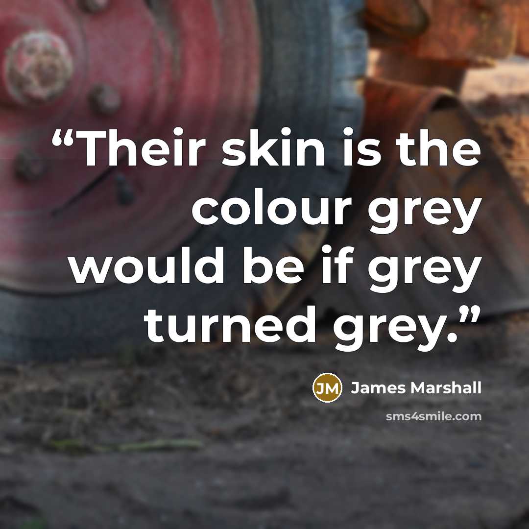 “Their skin is the colour grey would be if grey turned grey.” quote by James Marshall