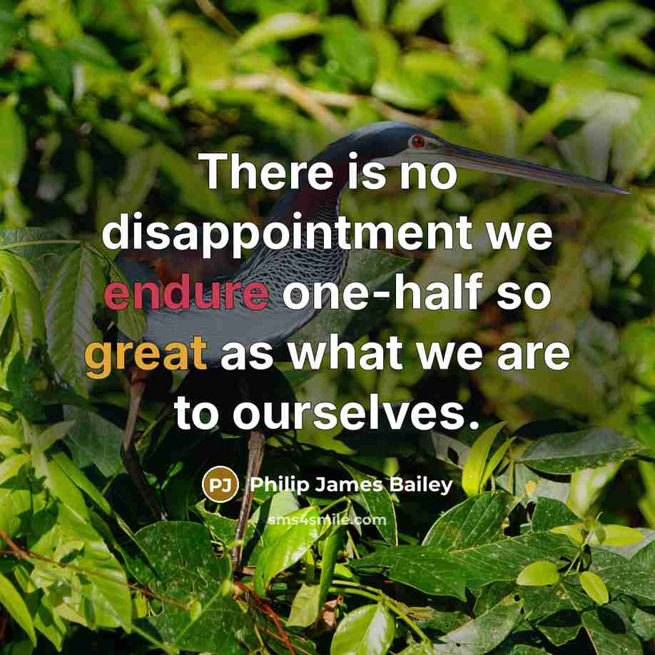 “There is no disappointment we endure one-half so great as what we are to ourselves.” quote by Philip James Bailey