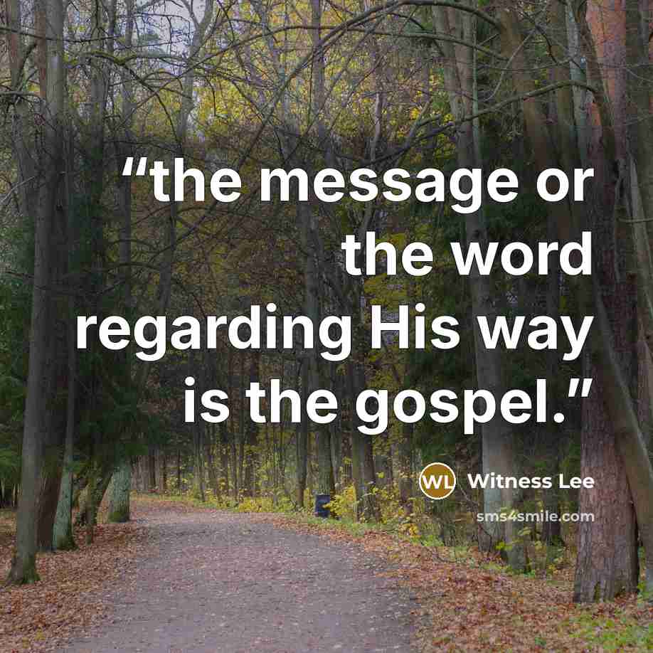 “the message or the word regarding His way is the gospel.” quote by Witness Lee