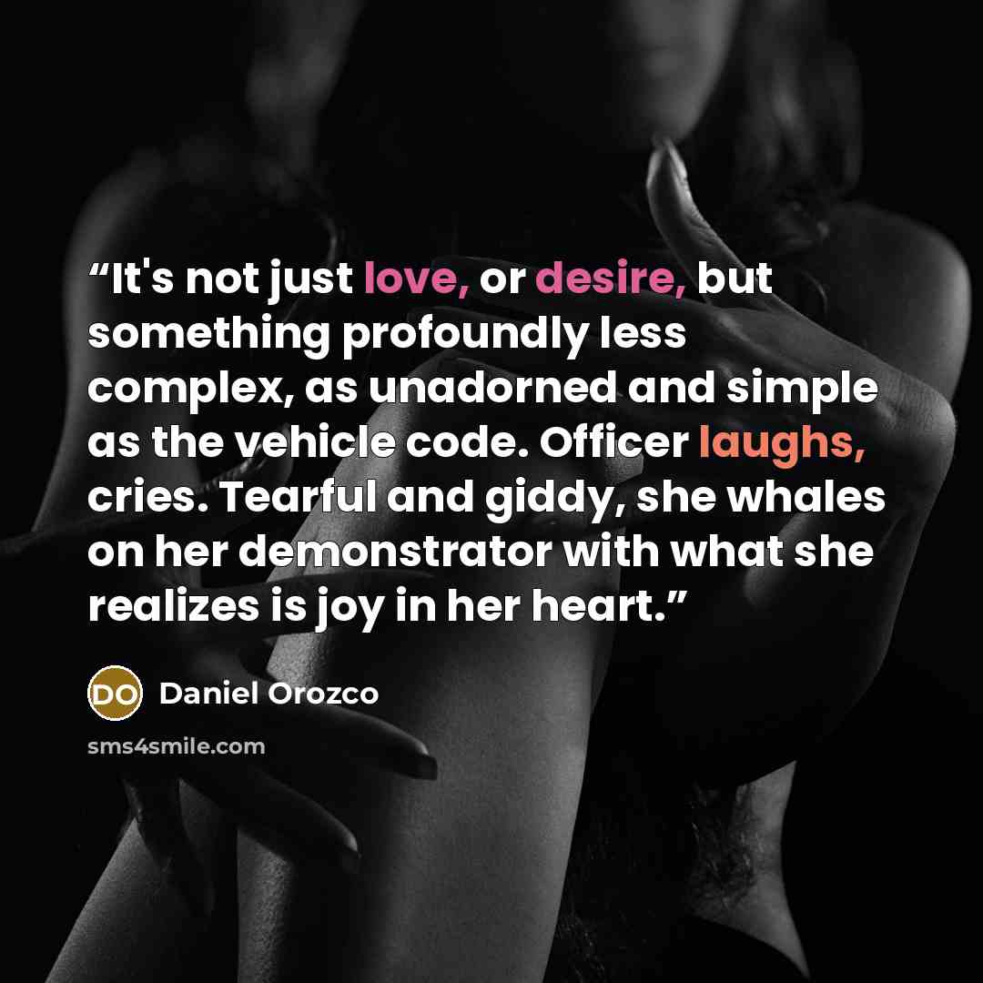 “It's not just love, or desire, but something profoundly less complex, as unadorned and simple as the vehicle code. Officer laughs, cries. Tearful and giddy, she whales on her demonstrator with what she realizes is joy in her heart.” quote by Daniel Orozco
