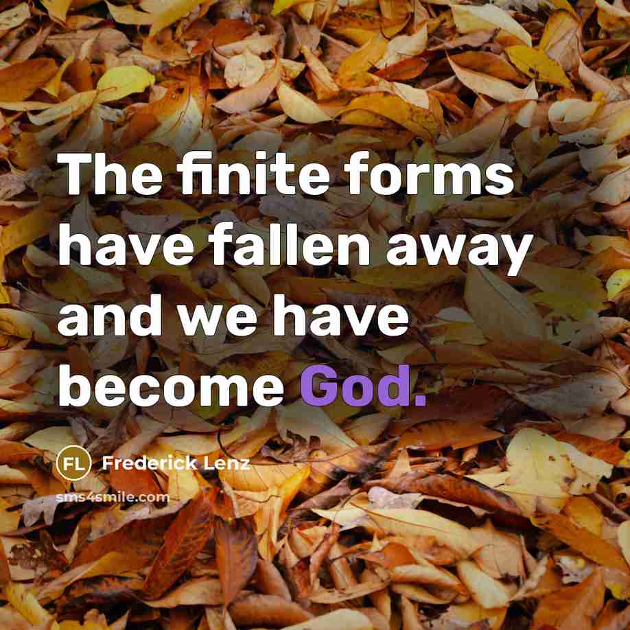 “The finite forms have fallen away and we have become God.” quote by Frederick Lenz