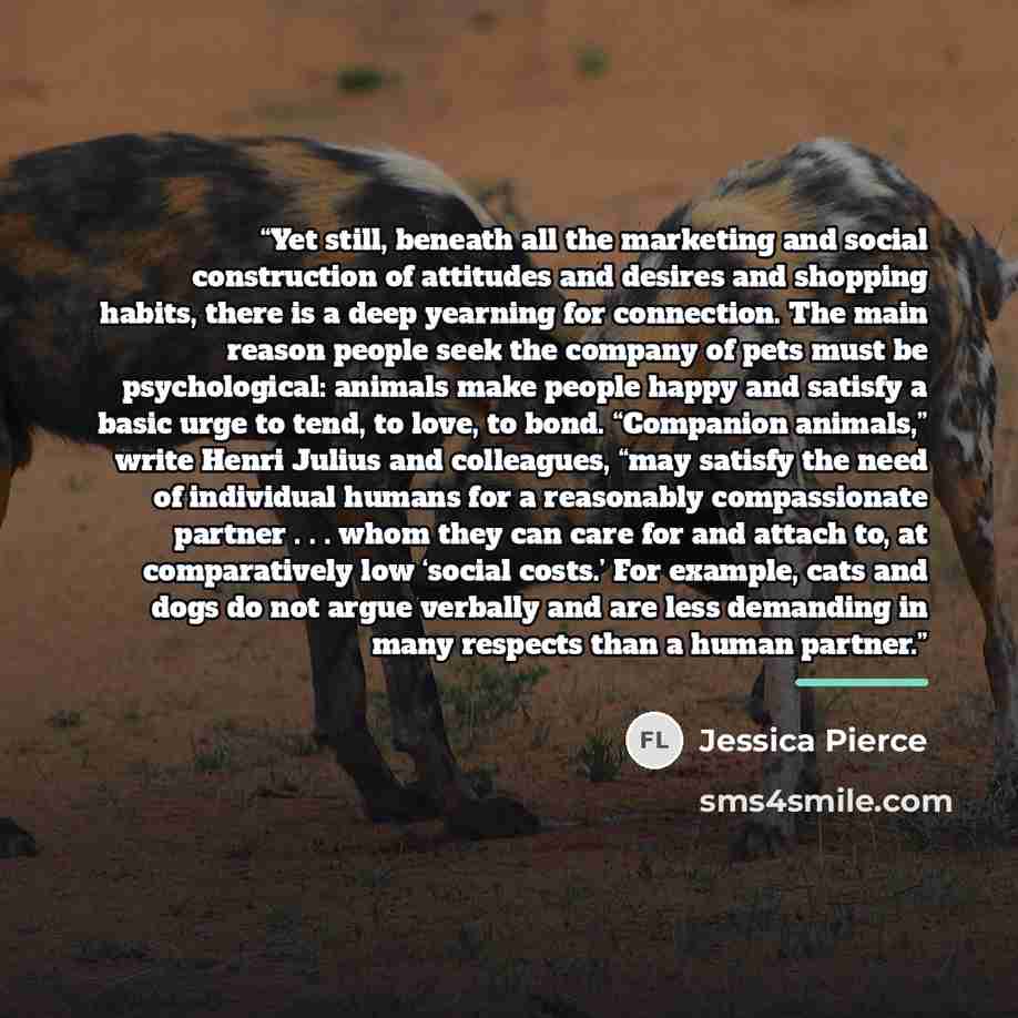 “Yet still, beneath all the marketing and social construction of attitudes and desires and shopping habits, there is a deep yearning for connection. The main reason people seek the company of pets must be psychological: animals make people happy and satisfy a basic urge to tend, to love, to bond…” quote by Jessica Pierce