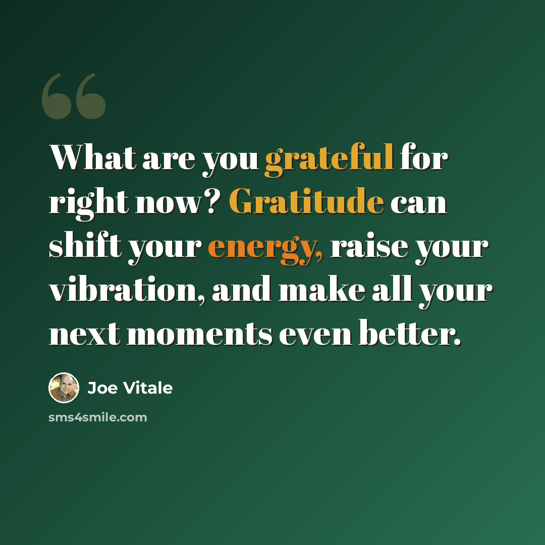 “What are you grateful for right now? Gratitude can shift your energy, raise your vibration, and make all your next moments even better.” quote by Joe Vitale
