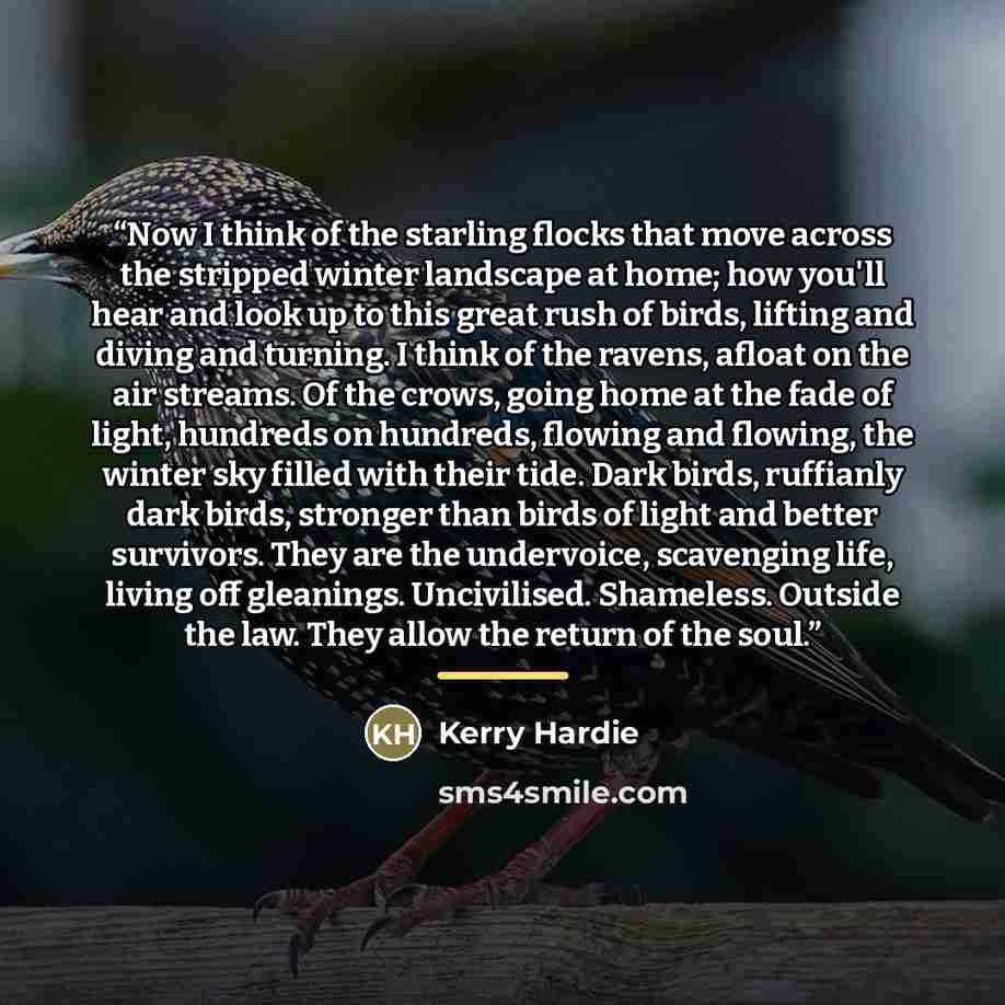 “Now I think of the starling flocks that move across the stripped winter landscape at home; how you'll hear and look up to this great rush of birds, lifting and diving and turning. I think of the ravens, afloat on the air streams. Of the crows, going home at the fade of light, hundreds on hundreds…” quote by Kerry Hardie