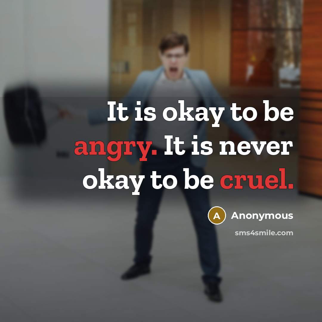 “It is okay to be angry. It is never okay to be cruel.” quote by Anonymous