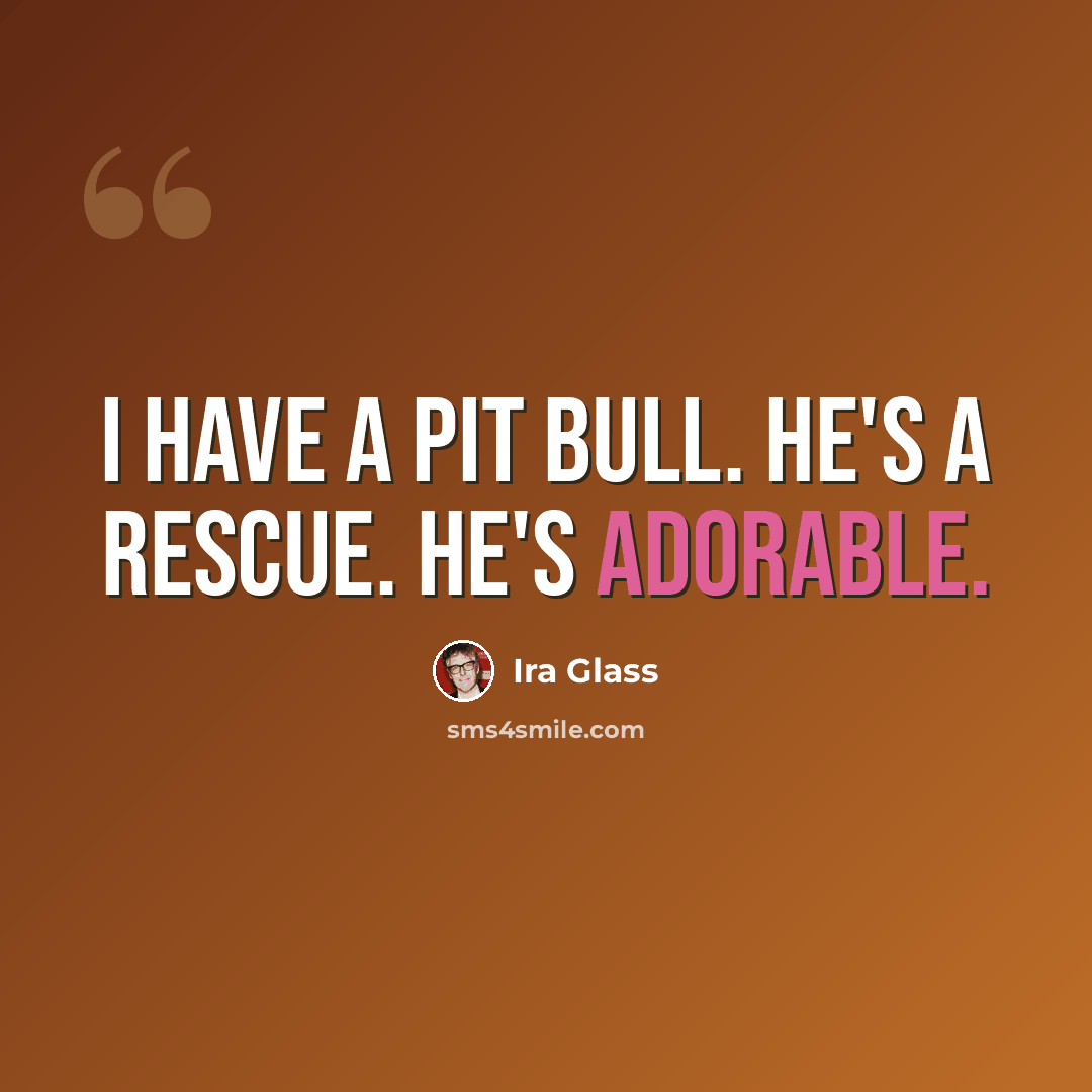 “I have a pit bull. He's a rescue. He's adorable.” quote by Ira Glass