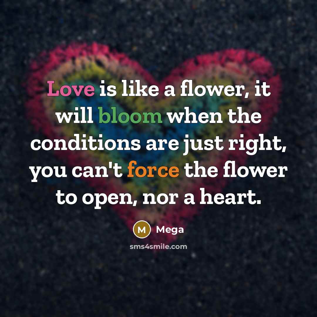 “Love is like a flower, it will bloom when the conditions are just right, you can't force the flower to open, nor a heart.” quote by Mega