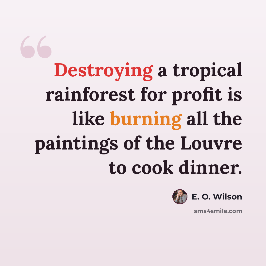 “Destroying a tropical rainforest for profit is like burning all the paintings of the Louvre to cook dinner.” quote by E. O. Wilson