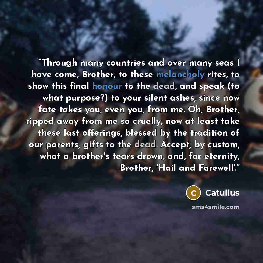 “Through many countries and over many seas I have come, Brother, to these melancholy rites, to show this final honour to the dead, and speak (to what purpose?) to your silent ashes, since now fate takes you, even you, from me. Oh, Brother, ripped away from me so cruelly, now at least take these…” quote by Catullus