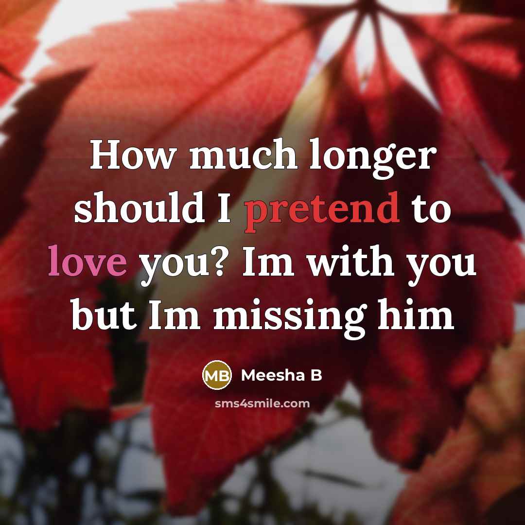 “How much longer should I pretend to love you? Im with you but Im missing him” quote by Meesha B