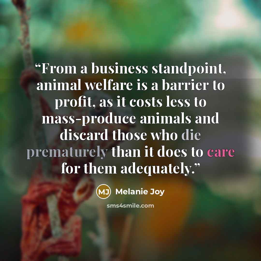 “From a business standpoint, animal welfare is a barrier to profit, as it costs less to mass-produce animals and discard those who die prematurely than it does to care for them adequately.” quote by Melanie Joy