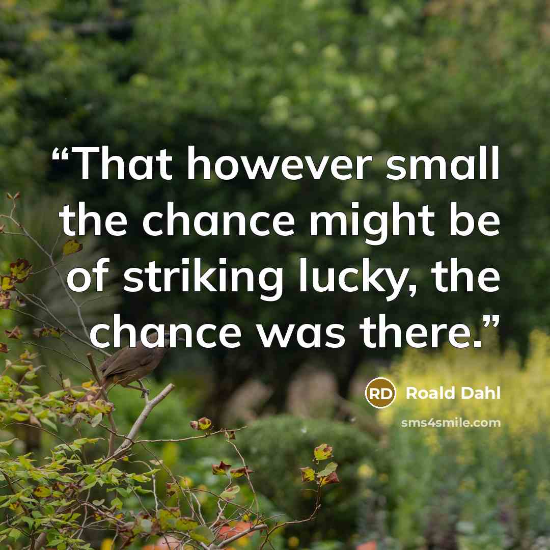 “That however small the chance might be of striking lucky, the chance was there.” quote by Roald Dahl