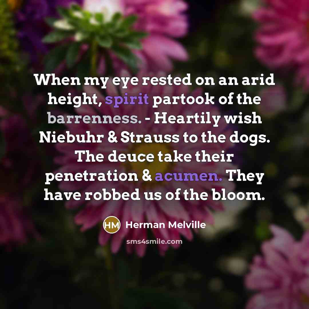 “When my eye rested on an arid height, spirit partook of the barrenness. - Heartily wish Niebuhr & Strauss to the dogs. The deuce take their penetration & acumen. They have robbed us of the bloom.” quote by Herman Melville