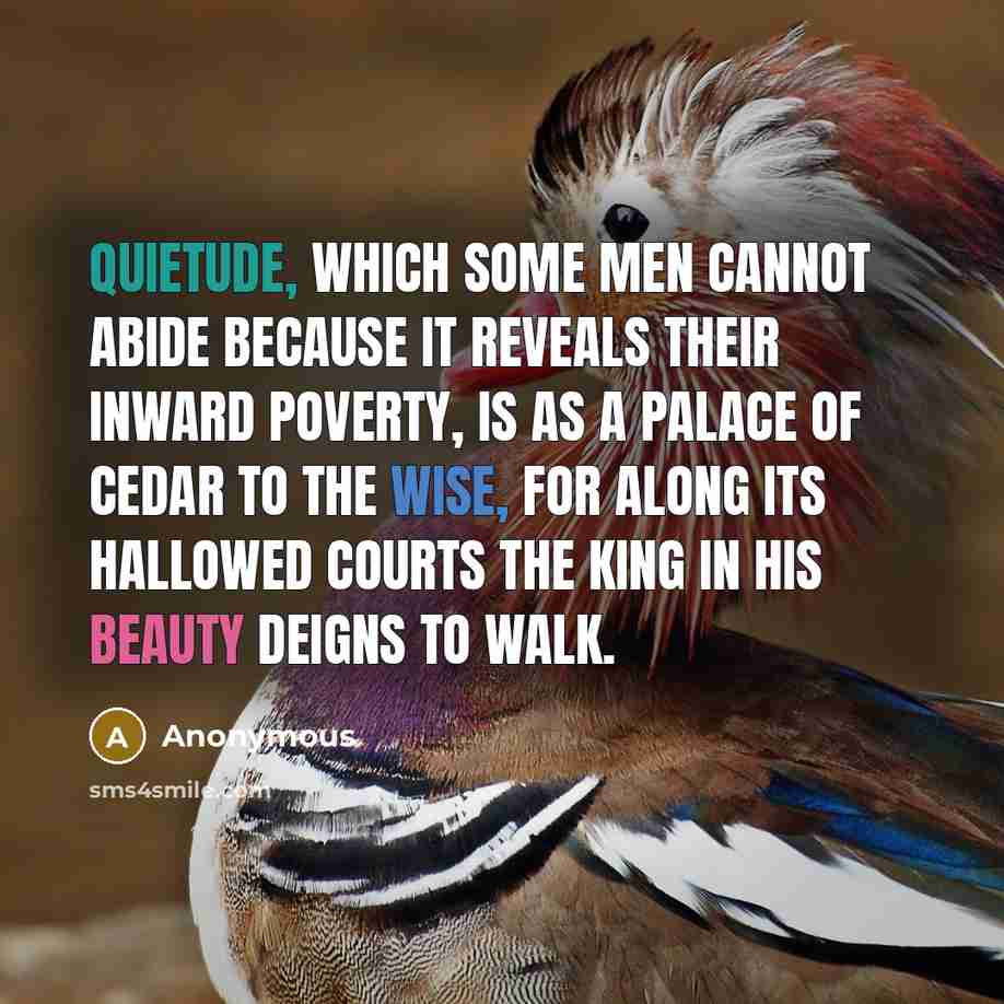 “Quietude, which some men cannot abide because it reveals their inward poverty, is as a palace of cedar to the wise, for along its hallowed courts the King in his beauty deigns to walk.” quote by Anonymous