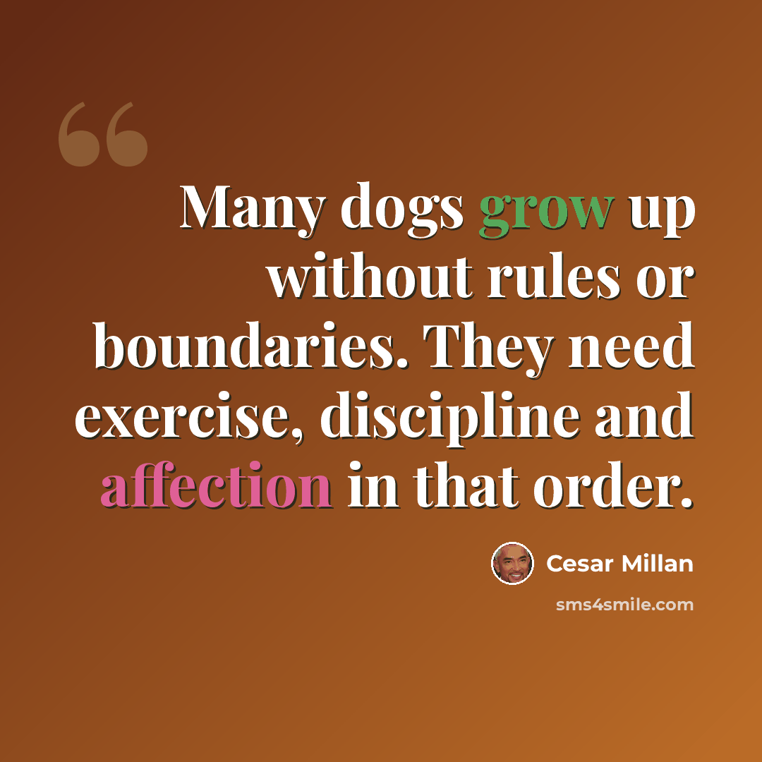 “Many dogs grow up without rules or boundaries. They need exercise, discipline and affection in that order.” quote by Cesar Millan