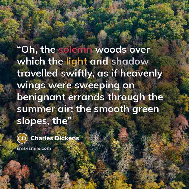 “Oh, the solemn woods over which the light and shadow travelled swiftly, as if heavenly wings were sweeping on benignant errands through the summer air; the smooth green slopes, the” quote by Charles Dickens