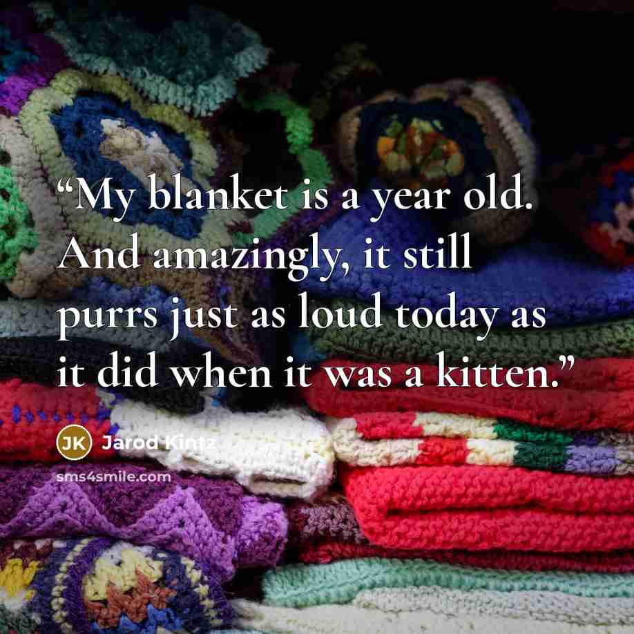 “My blanket is a year old. And amazingly, it still purrs just as loud today as it did when it was a kitten.” quote by Jarod Kintz