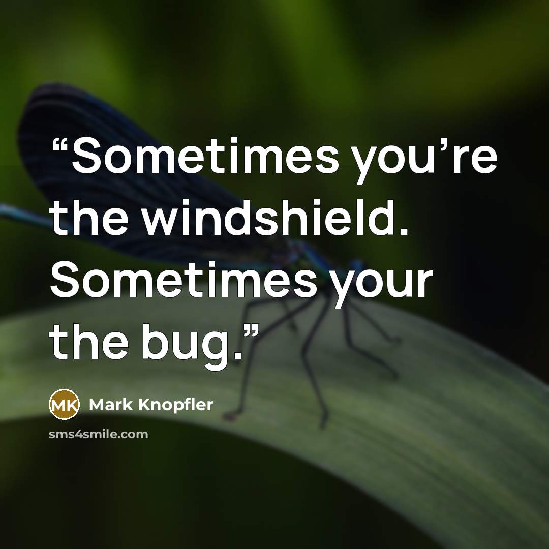 “Sometimes you're the windshield. Sometimes your the bug.” quote by Mark Knopfler