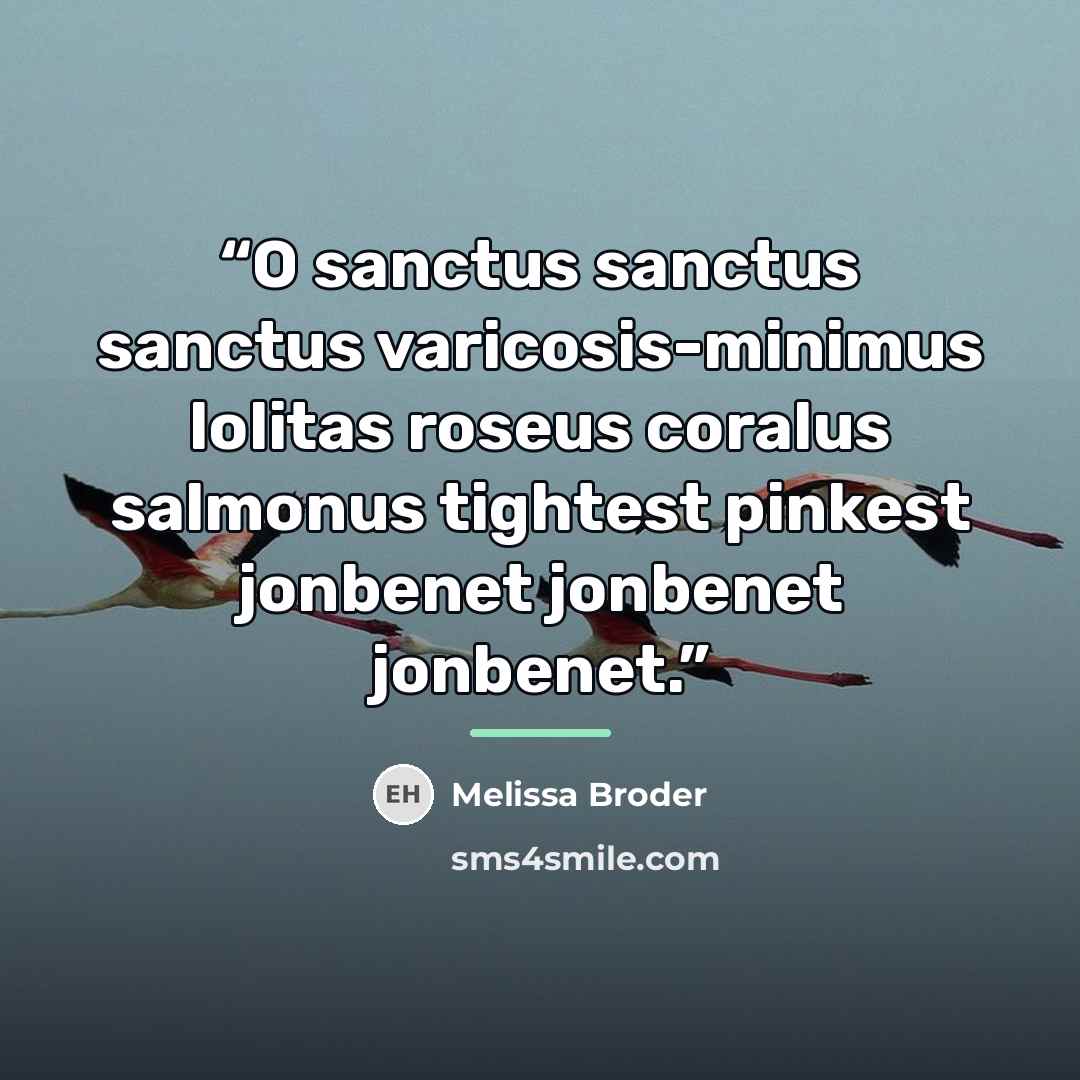 “O sanctus sanctus sanctus varicosis-minimus lolitas roseus coralus salmonus tightest pinkest jonbenet jonbenet jonbenet.” quote by Melissa Broder