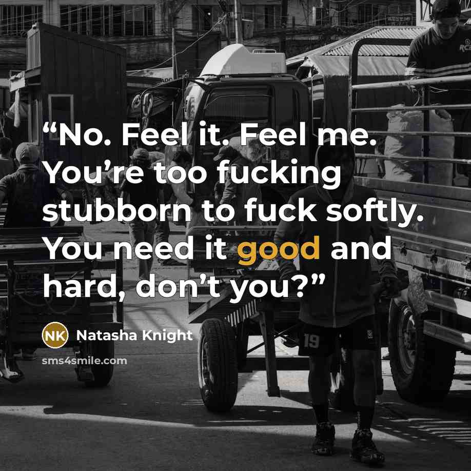 “No. Feel it. Feel me. You’re too fucking stubborn to fuck softly. You need it good and hard, don’t you?” quote by Natasha Knight