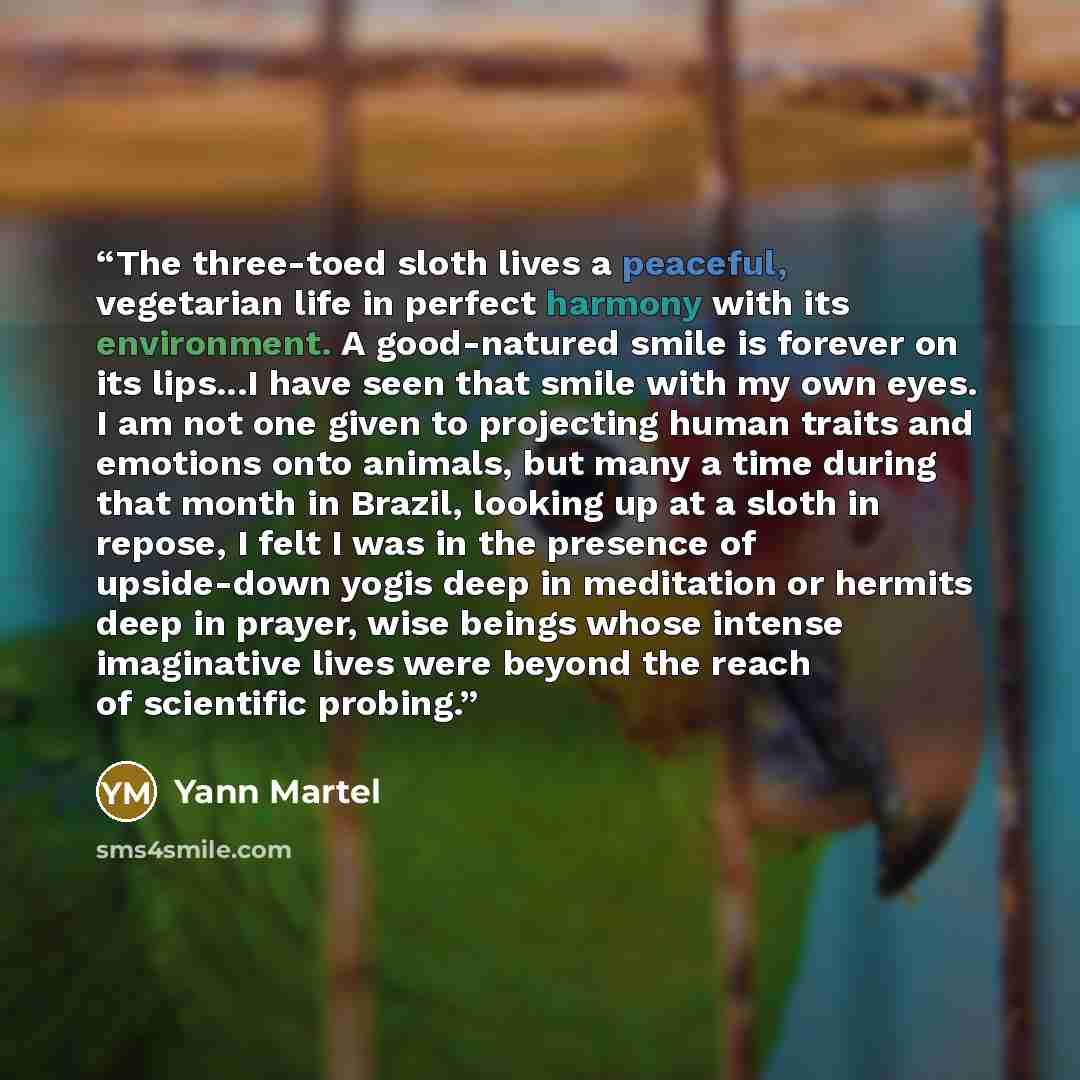“The three-toed sloth lives a peaceful, vegetarian life in perfect harmony with its environment. A good-natured smile is forever on its lips...I have seen that smile with my own eyes. I am not one given to projecting human traits and emotions onto animals, but many a time during that month in…” quote by Yann Martel