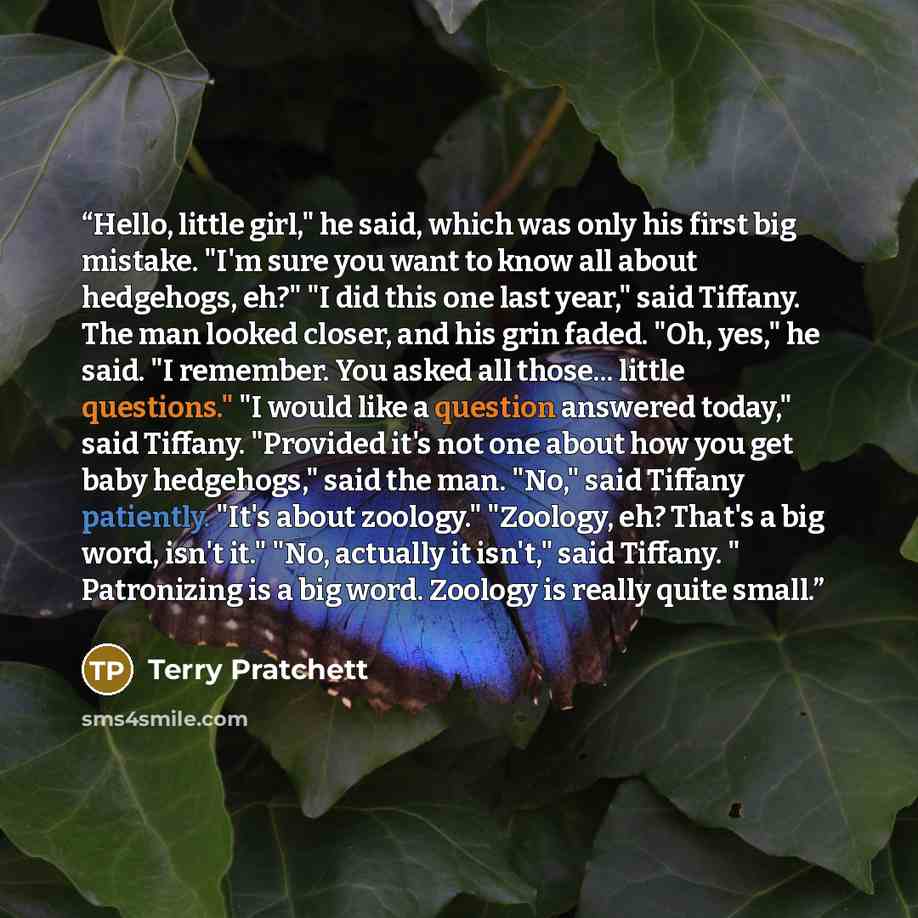 “Hello, little girl," he said, which was only his first big mistake. "I'm sure you want to know all about hedgehogs, eh?" "I did this one last year," said Tiffany. The man looked closer, and his grin faded. "Oh, yes," he said. "I remember. You asked all those... little questions." "I would like a…” quote by Terry Pratchett