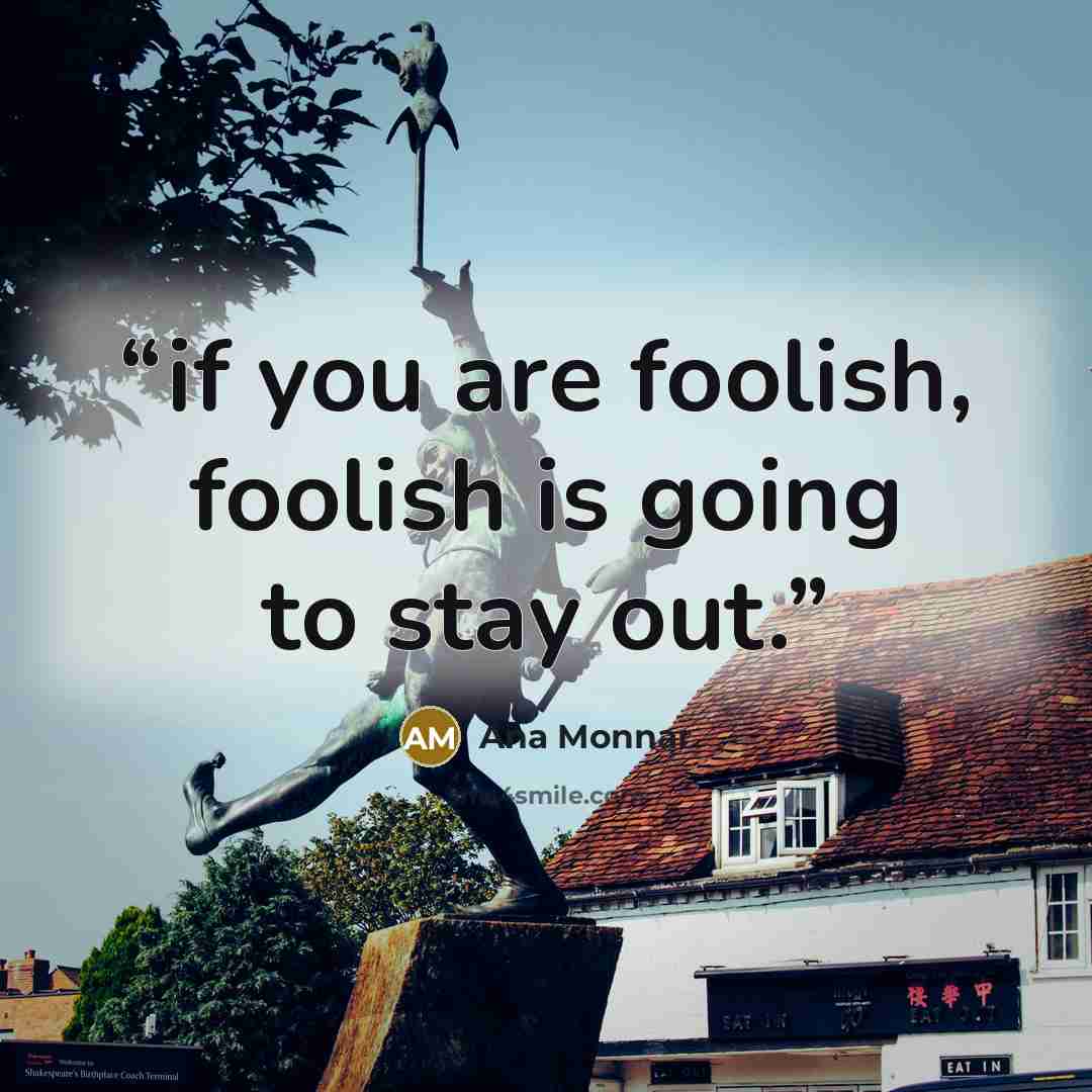 “if you are foolish, foolish is going to stay out.” quote by Ana Monnar