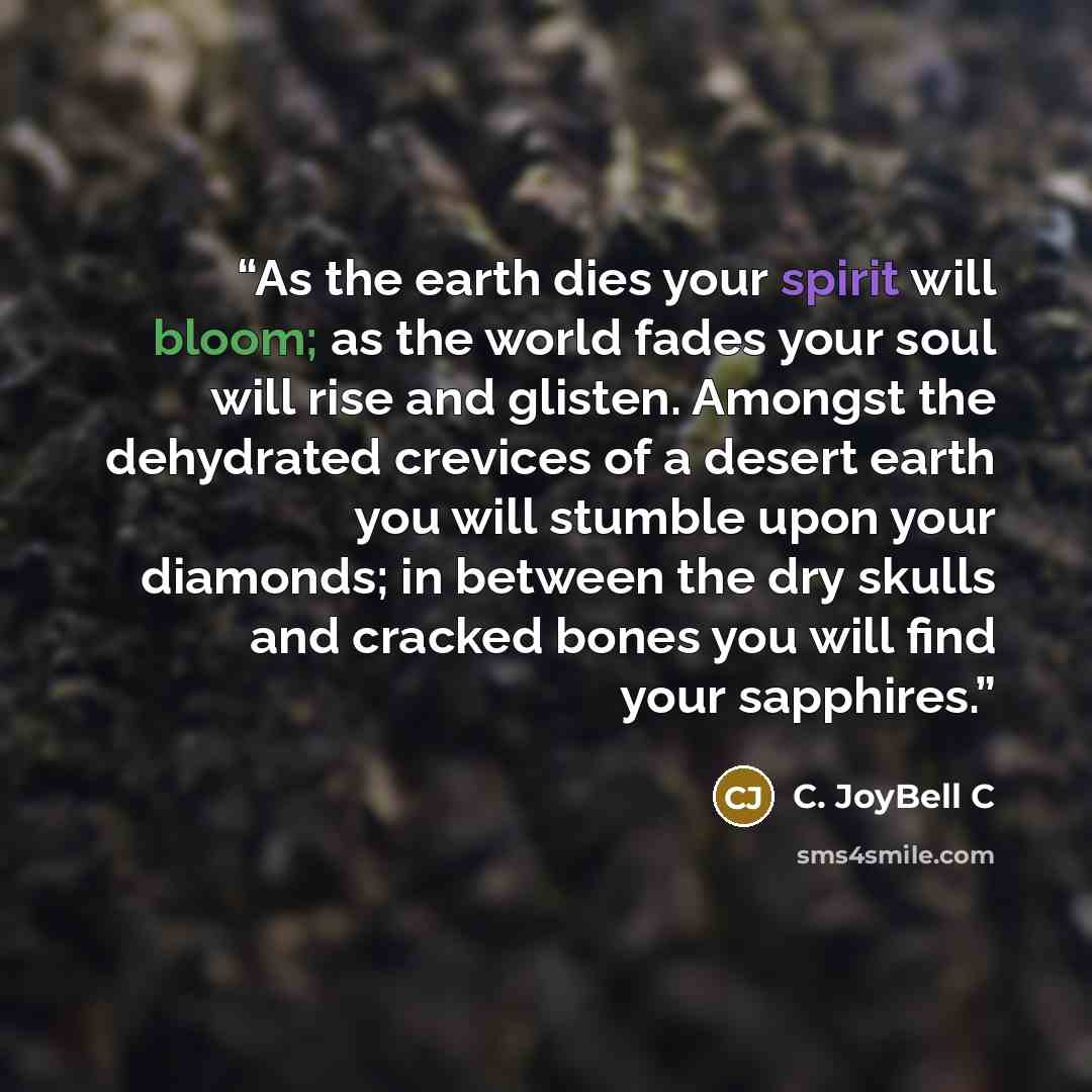 “As the earth dies your spirit will bloom; as the world fades your soul will rise and glisten. Amongst the dehydrated crevices of a desert earth you will stumble upon your diamonds; in between the dry skulls and cracked bones you will find your sapphires.” quote by C. JoyBell C