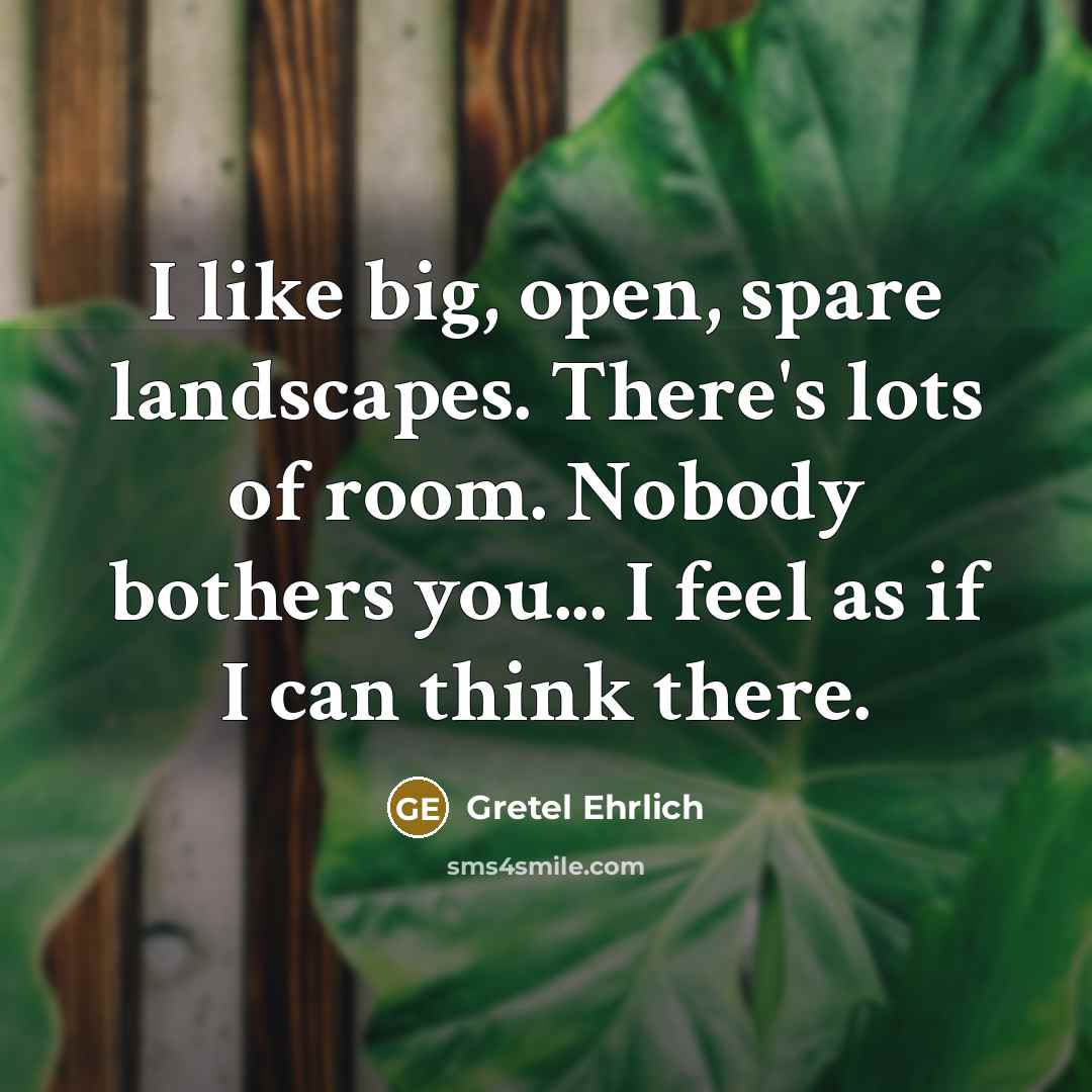 “I like big, open, spare landscapes. There's lots of room. Nobody bothers you... I feel as if I can think there.” quote by Gretel Ehrlich