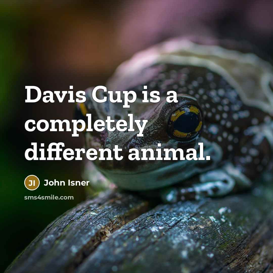 “Davis Cup is a completely different animal.” quote by John Isner
