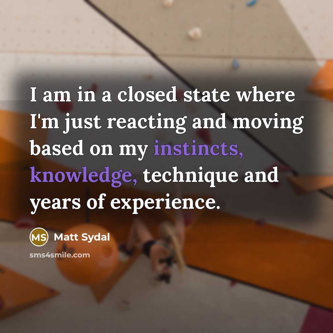 “I am in a closed state where I'm just reacting and moving based on my instincts, knowledge, technique and years of experience.” quote by Matt Sydal