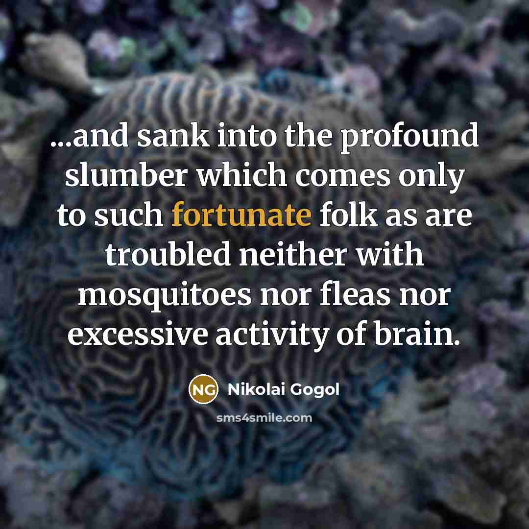 “...and sank into the profound slumber which comes only to such fortunate folk as are troubled neither with mosquitoes nor fleas nor excessive activity of brain.” quote by Nikolai Gogol