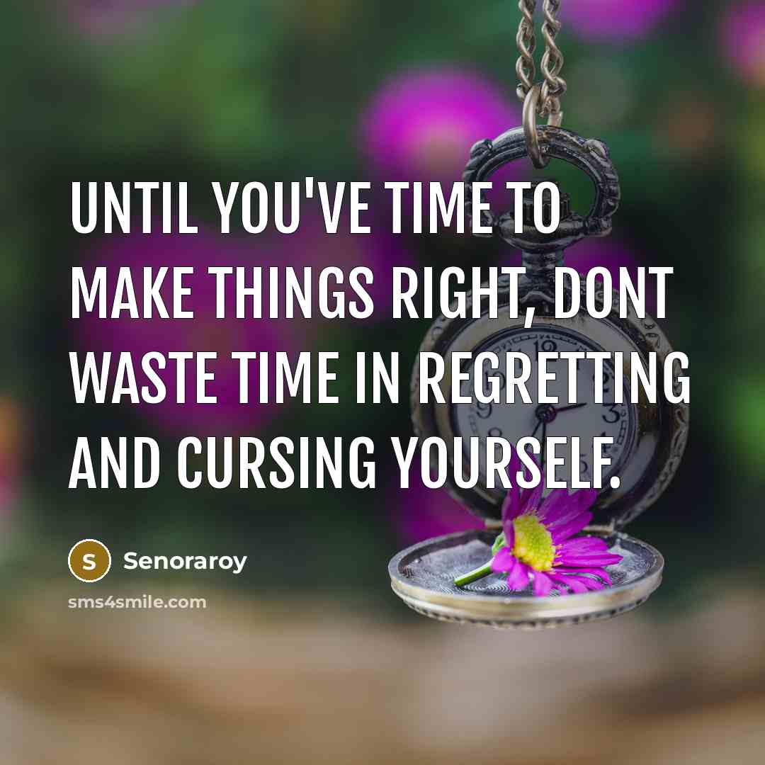 “Until you've time to make things right, dont waste time in regretting and cursing yourself.” quote by Senoraroy