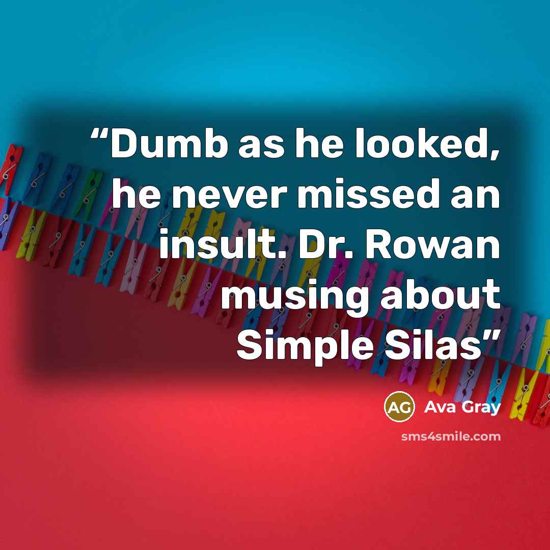 “Dumb as he looked, he never missed an insult. Dr. Rowan musing about Simple Silas” quote by Ava Gray