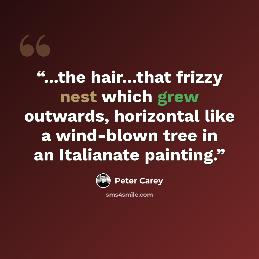 “...the hair...that frizzy nest which grew outwards, horizontal like a wind-blown tree in an Italianate painting.” quote by Peter Carey
