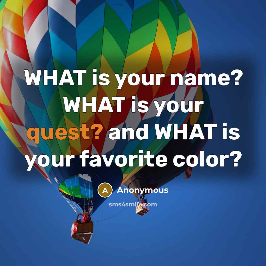 “WHAT is your name? WHAT is your quest? and WHAT is your favorite color?” quote by Anonymous
