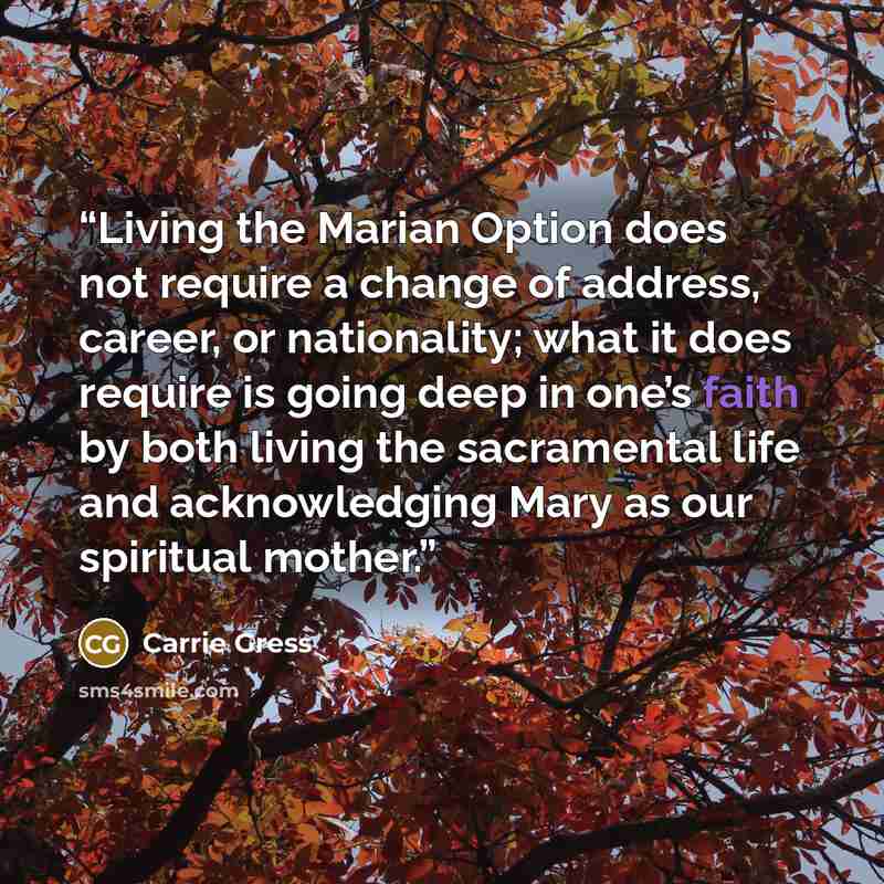 “Living the Marian Option does not require a change of address, career, or nationality; what it does require is going deep in one’s faith by both living the sacramental life and acknowledging Mary as our spiritual mother.” quote by Carrie Gress