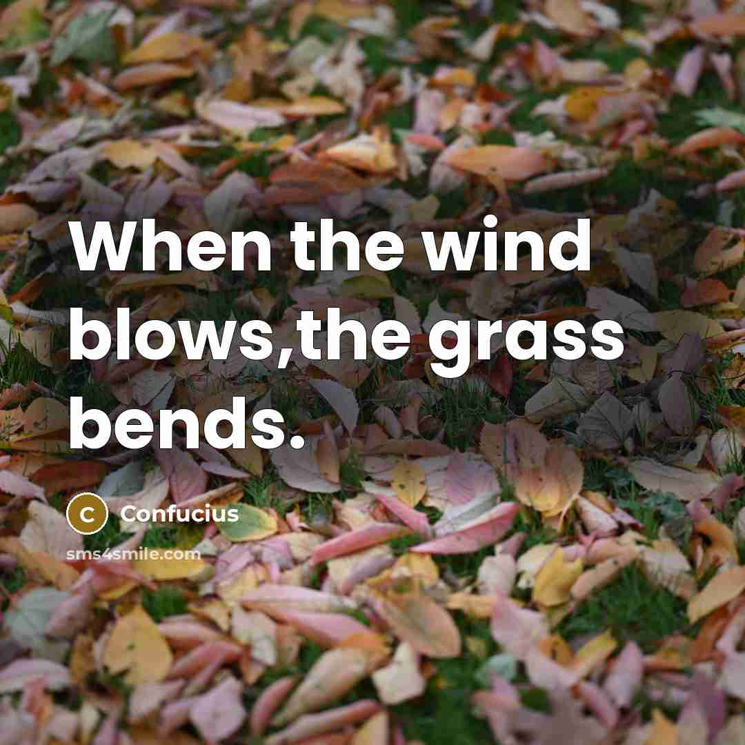 “When the wind blows,the grass bends.” quote by Confucius
