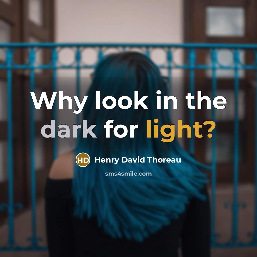 “Why look in the dark for light?” quote by Henry David Thoreau