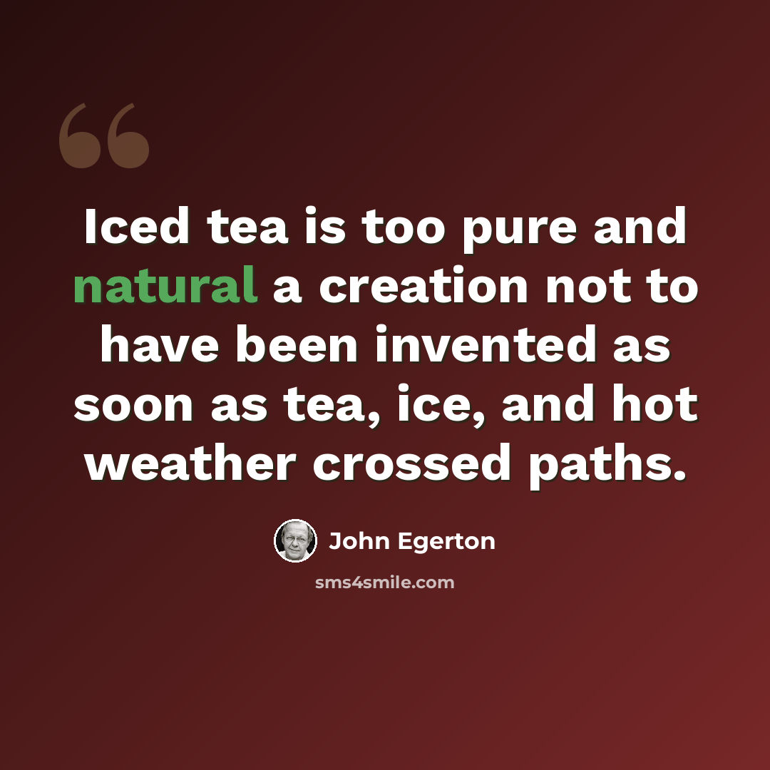 “Iced tea is too pure and natural a creation not to have been invented as soon as tea, ice, and hot weather crossed paths.” quote by John Egerton