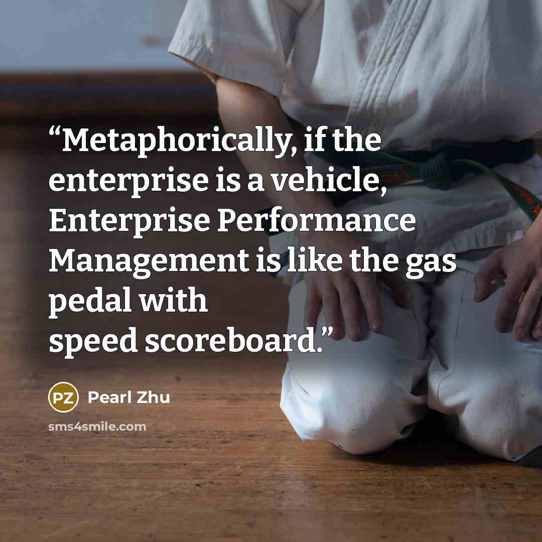 “Metaphorically, if the enterprise is a vehicle, Enterprise Performance Management is like the gas pedal with speed scoreboard.” quote by Pearl Zhu
