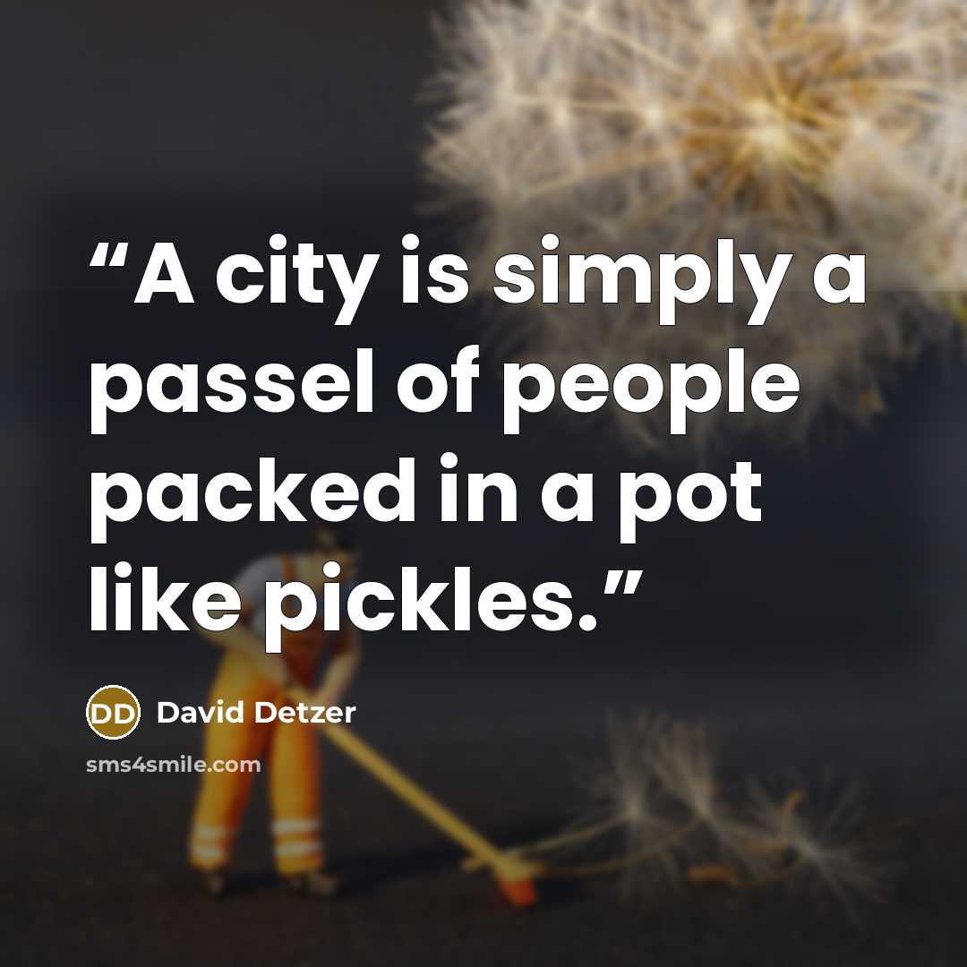 “A city is simply a passel of people packed in a pot like pickles.” quote by David Detzer